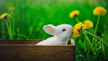 开云官网-曼城轻取切尔西，拉莫斯扑点救主亚洲杯——跨域叙事下的体育商业新机遇